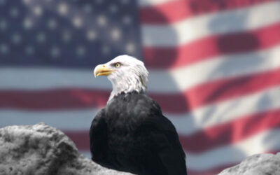 The American Dream is Not Out of Reach