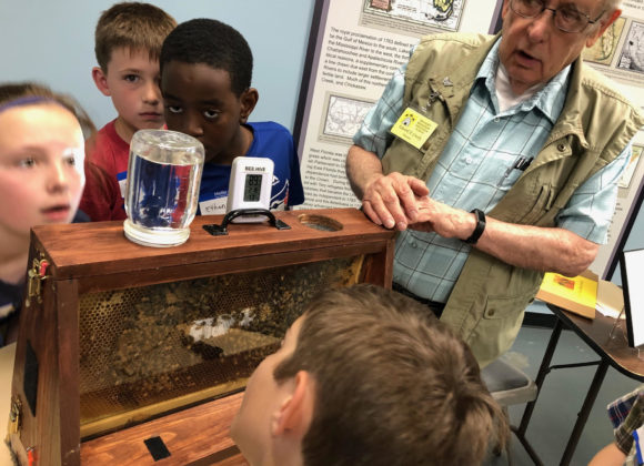 Learning about bees