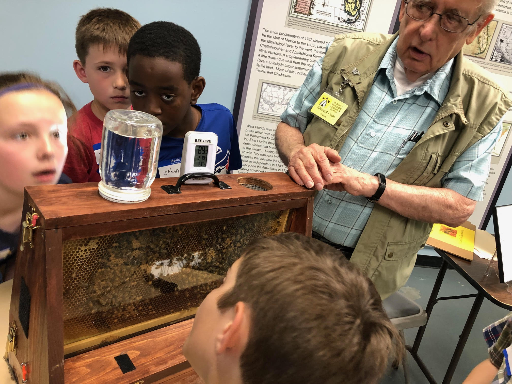 Learning about bees